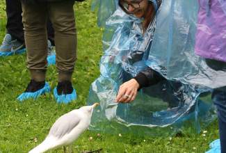 Veelinnu-koolitus-praktiline-päev-Eino-Roosioksa-juures-15.09-4